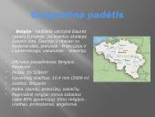 Belgija ir Lietuva 2 puslapis