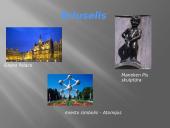 Belgija ir Lietuva 13 puslapis