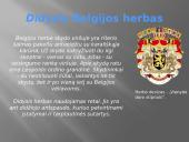 Belgija ir Lietuva 4 puslapis