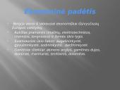 Belgija ir Lietuva 8 puslapis