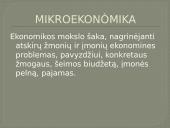 EKONOMIKA IR KITI MOKSLAI 2 puslapis