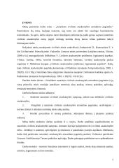 Sutartinės atsakomybės samprata 2 puslapis