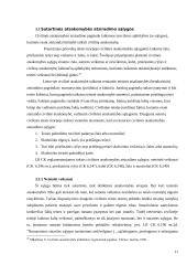 Sutartinės atsakomybės samprata 11 puslapis