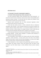 Sutartinės atsakomybės samprata 3 puslapis