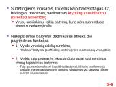  Chromosomų sandara ir molekulinė struktūra  9 puslapis