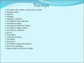 Atmosfera. Pristatymas 2 puslapis