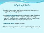 Atmosfera. Pristatymas 11 puslapis