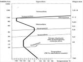 Atmosfera. Pristatymas 6 puslapis