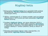 Atmosfera. Pristatymas 10 puslapis