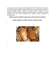 Gintaro terapija 4 puslapis