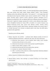 Teisės aiškinimas (interpretavimas) 13 puslapis