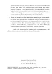 Teisės aiškinimas (interpretavimas) 17 puslapis