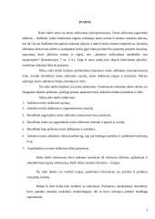 Teisės aiškinimas (interpretavimas) 3 puslapis