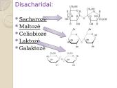 Angliavandeniai. Pristatymas 13 puslapis