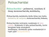 Angliavandeniai. Pristatymas 17 puslapis