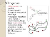Angliavandeniai. Pristatymas 20 puslapis