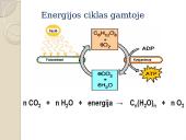 Angliavandeniai. Pristatymas 3 puslapis