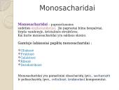 Angliavandeniai. Pristatymas 5 puslapis