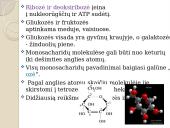 Angliavandeniai. Pristatymas 6 puslapis