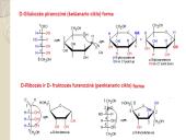 Angliavandeniai. Pristatymas 9 puslapis