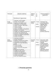 Žodinio - loginio mąstymo tyrimas 10 puslapis