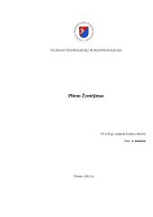 Plieno žymėjimas