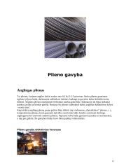 Plieno žymėjimas 4 puslapis