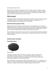 Plieno žymėjimas 5 puslapis