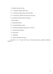 Plieno žymėjimas 8 puslapis