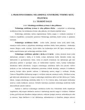 Aplinkos ir darbų sauga įmonėje 6 puslapis