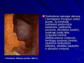 Simbolizmas 9 puslapis