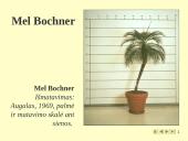 Konceptualusis menas 10 puslapis