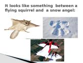 Extreme sports. Pristatymas 8 puslapis