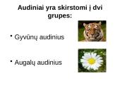 Augalų audiniai 3 puslapis