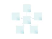 Augalų audiniai 4 puslapis