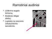 Augalų audiniai 9 puslapis