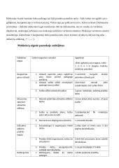 Pedagogo asistento praktikos ataskaita 3 puslapis