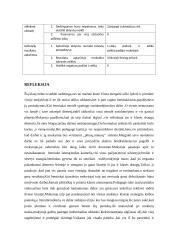 Pedagogo asistento praktikos ataskaita 4 puslapis