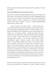 Pedagogo asistento praktikos ataskaita 5 puslapis