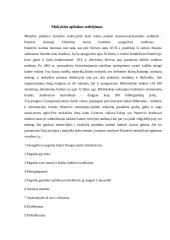 Stebėtojos mokykloje praktikos ataskaita 2 puslapis