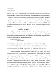 Stebėtojos mokykloje praktikos ataskaita 3 puslapis