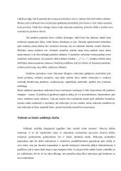 Stebėtojos mokykloje praktikos ataskaita 5 puslapis