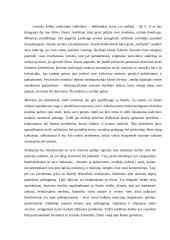 Stebėtojos mokykloje praktikos ataskaita 6 puslapis