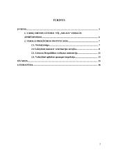 Verslo priežiūros institucijos 2 puslapis