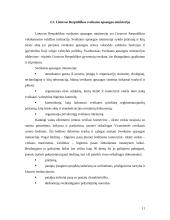 Verslo priežiūros institucijos 11 puslapis