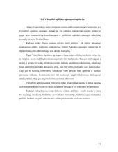 Verslo priežiūros institucijos 13 puslapis