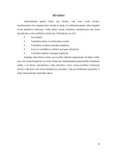 Verslo priežiūros institucijos 14 puslapis