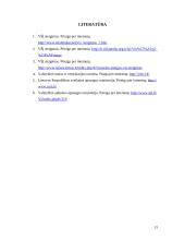 Verslo priežiūros institucijos 15 puslapis