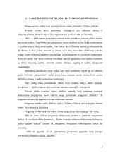 Verslo priežiūros institucijos 4 puslapis