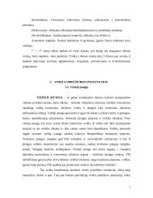 Verslo priežiūros institucijos 7 puslapis